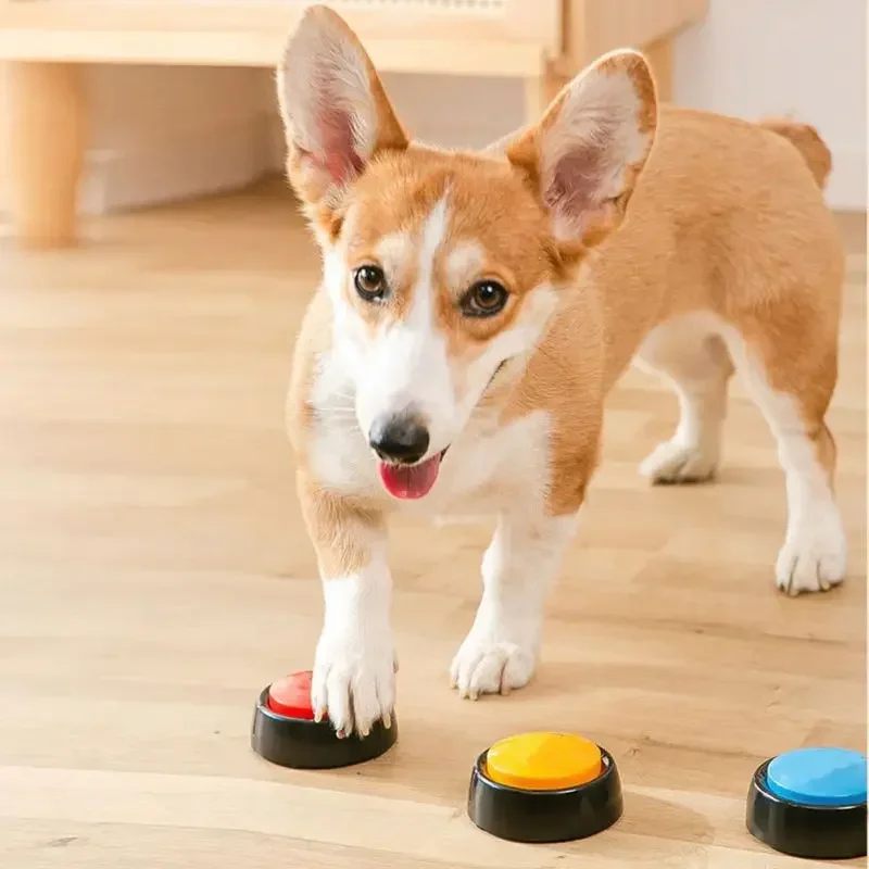 2026 Recordable Talking Pet Bu - Event Party Box のレビューと価格