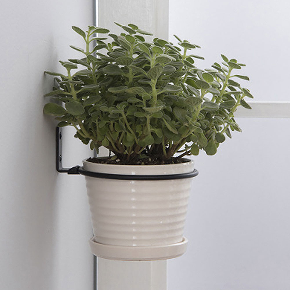 Flower Pot Trays Wall Mounted  - Flower Wall Panel のレビューと価格